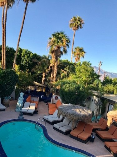 Swingers Resorts Palm Springs